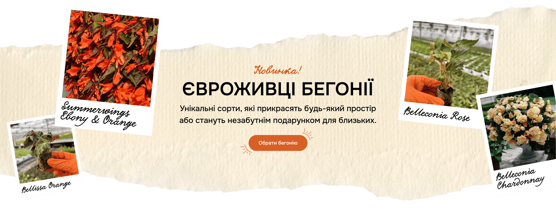 Сезонне комп